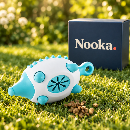 Nooka dog treat dispensing ball on lawn