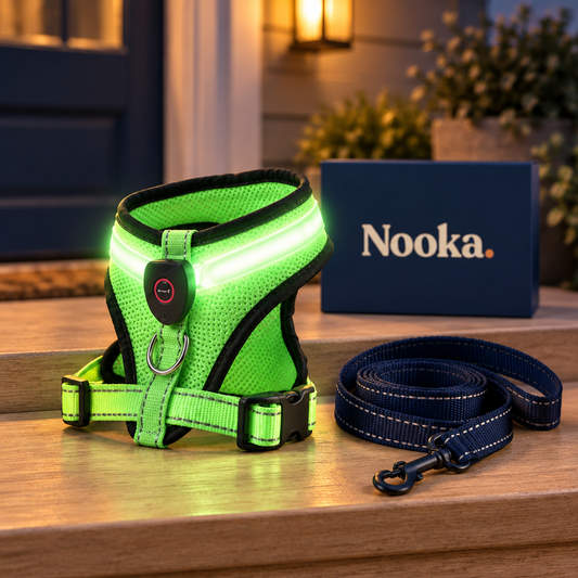 Nooka rechargeable LED dog harness glowing at dusk