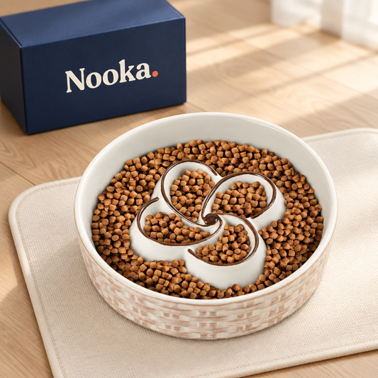 Nooka ceramic slow feeder dog bowl