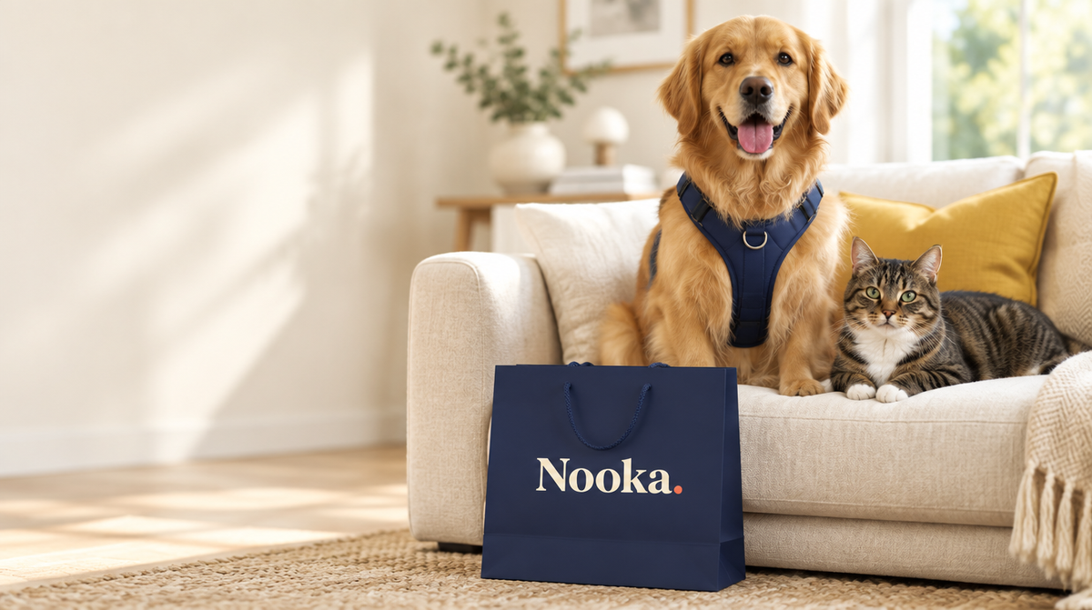 Nooka – dog and cat relaxing at home with Nooka pet essentials